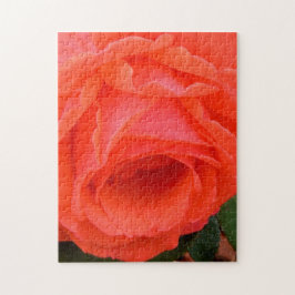 Der Sinn des Rose-Puzzles Puzzle