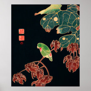 Der Sittich von Ito Jakuchu (ca. 1900) Poster