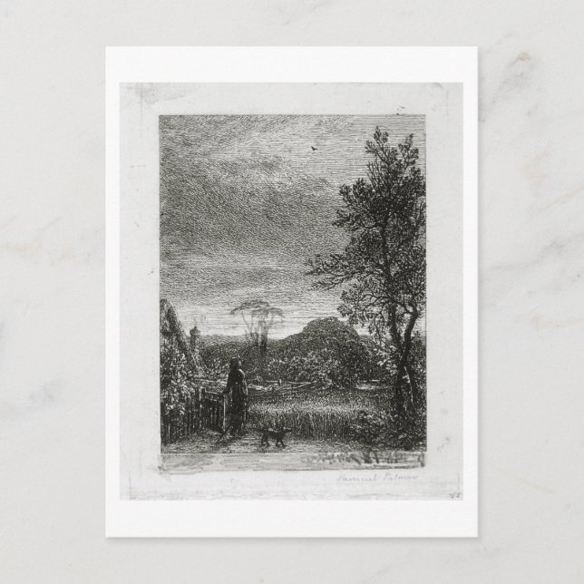 Der Skylark (Ätzen) Postkarte (Vorderseite)