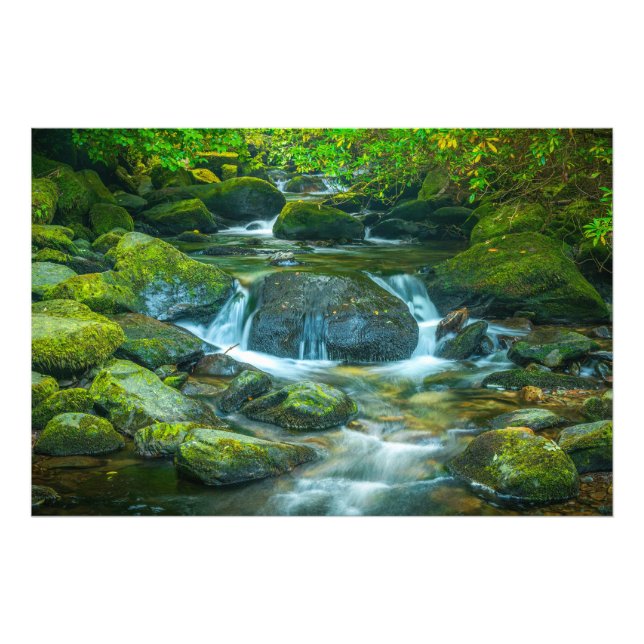 Der smaragdgrüne Fluss des irischen Baches Fotodruck (Vorne)