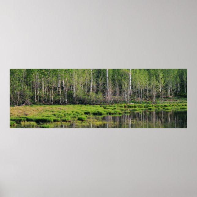 Der Smaragdwald Poster (Vorne)