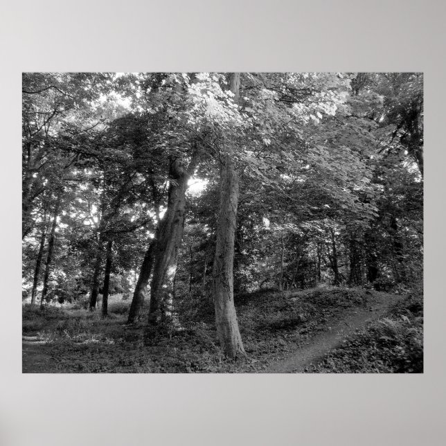 Der Sommer im Wald Poster (Vorne)