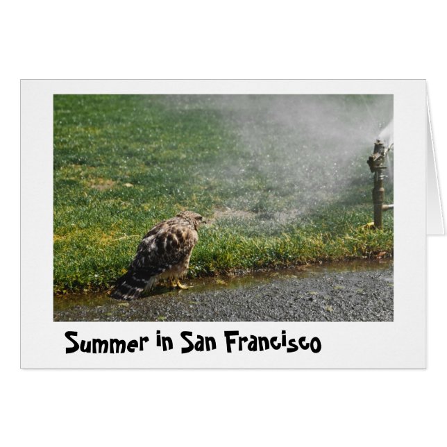 Der Sommer in der Stadt (Vorderseite (Horizontal))