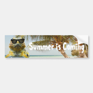 Der Sommer kommt Autoaufkleber