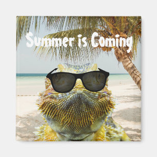 Der Sommer kommt Magnet