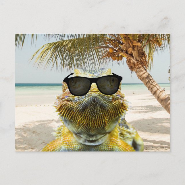 Der Sommer kommt Postkarte (Vorderseite)