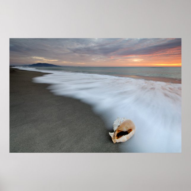 Der Sonnenaufgang am Strand und die Muschel Poster (Vorne)