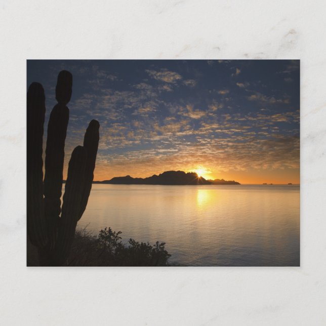 Der Sonnenaufgang über der Isla Danzante im Golf v Postkarte (Vorderseite)