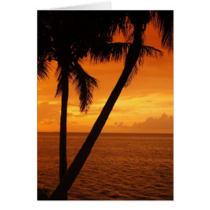 Der Sonnenuntergang Florida-Schlüssels