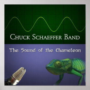 Der Sound des Chameleon Poster