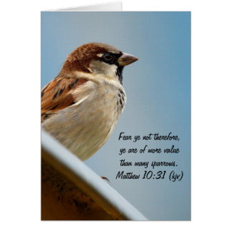 Der Sparrow