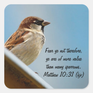 Der Sparrow Quadratischer Aufkleber