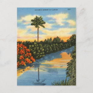 Der Spiegel der Natur in Florida Postkarte
