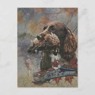 Der Sprocker Spaniel, Jagdhund Kunst Postkarte