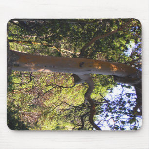 Der Spuk Baum... Mousepad
