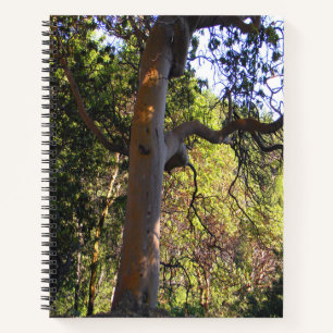 Der Spuk Baum.... Notizbuch