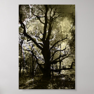 Der Spuk Baum Poster