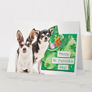 Der St. Patrick's Day Chihuahua Karte