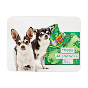 Der St. Patrick's Day Chihuahua Magnet