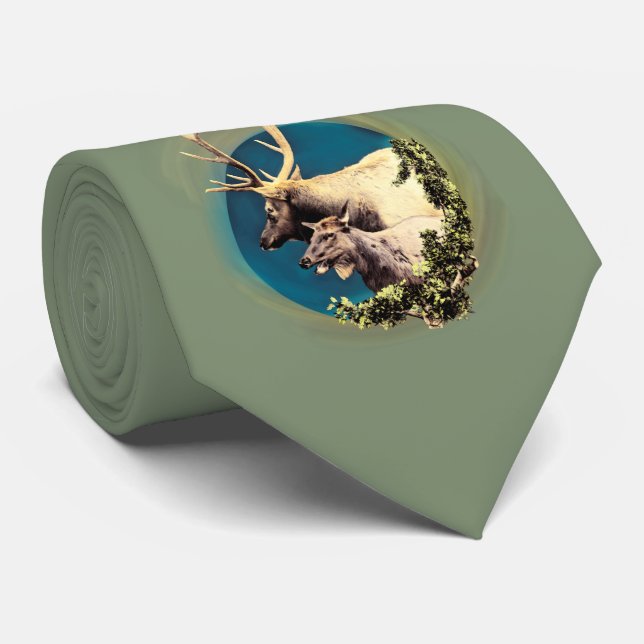 Der Stag und die Hinten Krawatte (Gerollt)