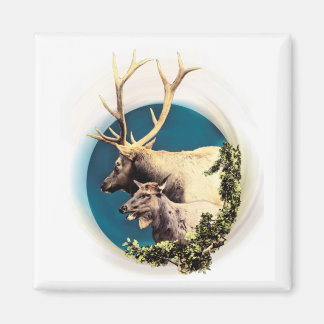 Der Stag und die Hinten Magnet
