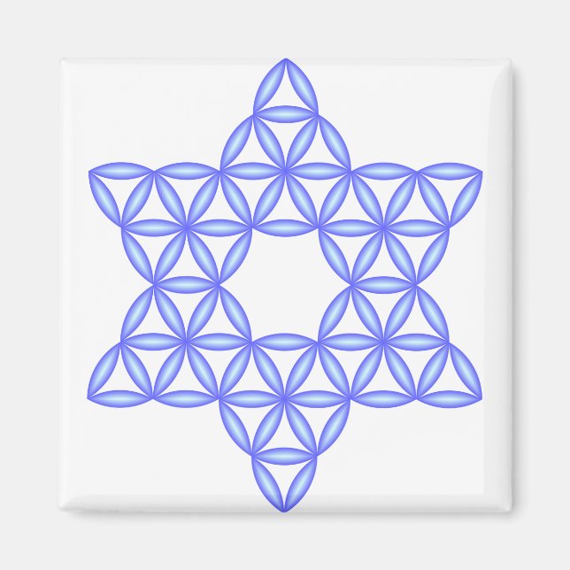 Der Star des Lebens - Heilige Formen Magnet (Vorne)