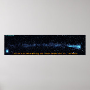 Der Stern Mira mit dem flüssigen Schwanz Poster
