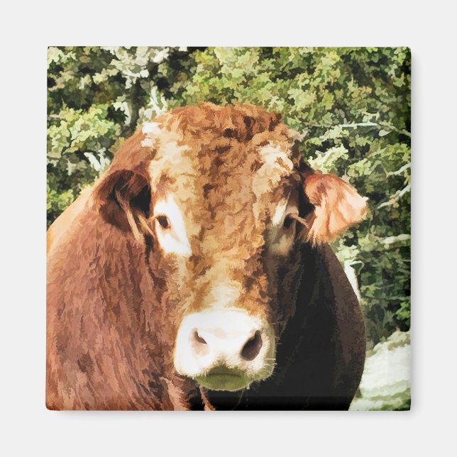 DER STIER MAGNET (Vorne)