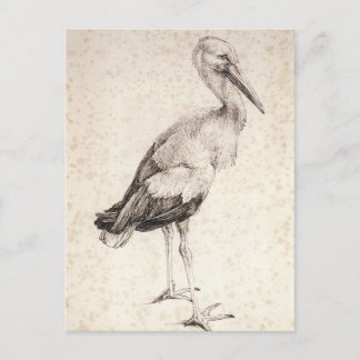 Der Storch von Albrecht Durer Postkarte