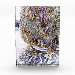 DER STRAND FOTOBLOCK