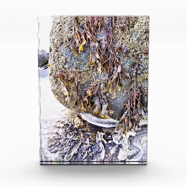 DER STRAND FOTOBLOCK (Vorderseite)