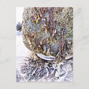 DER STRAND POSTKARTE