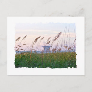 Der Strand von Florida rosa und lila Sonnenunterga Postkarte