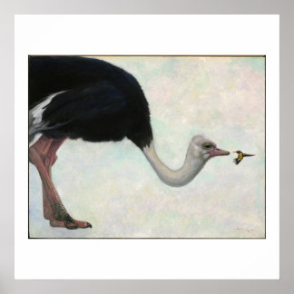 Der Strauß und der Hummingvogel von Bryn Barnard Poster
