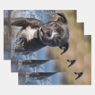 Der stumpfe Welpe, der im Meer schrumpft, Geschenkpapier Set