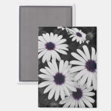 Der subtile Kontrast der Natur