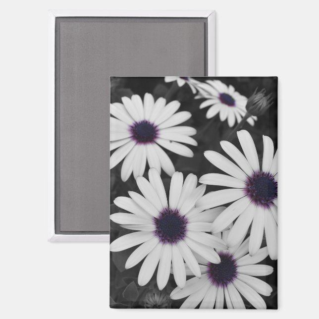 Der subtile Kontrast der Natur Magnet (Vorderseite/Rückseite)