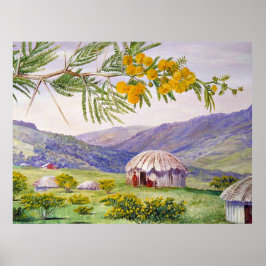 Der südafrikanische Türboom und die Fingo Huts Poster