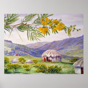 Der südafrikanische Türboom und die Fingo Huts Poster