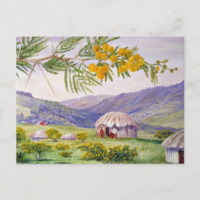 Der südafrikanische Türboom und die Fingo Huts Postkarte (Vorderseite)