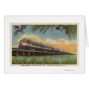 Der Summenvogel-Eisenbahn-Zug