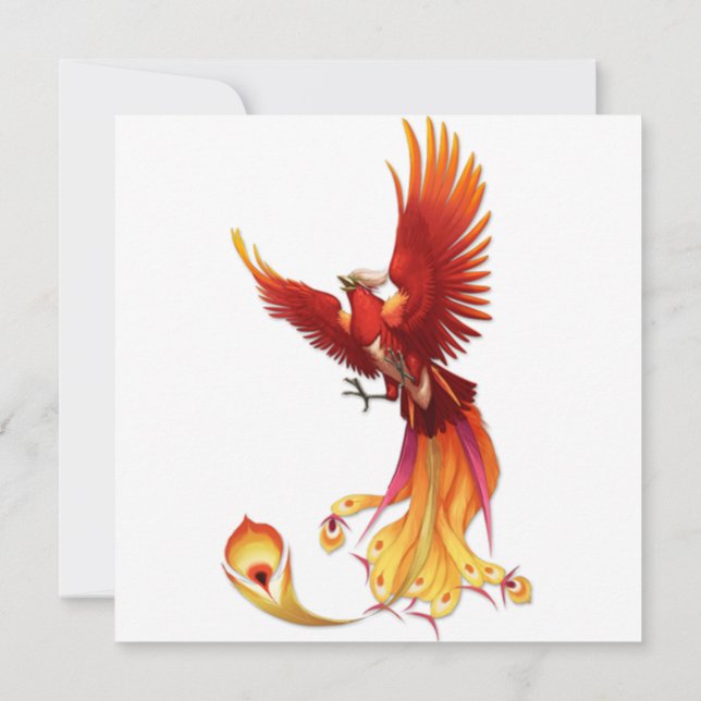 Der Sun Phoenix Einladung (Rückseite)