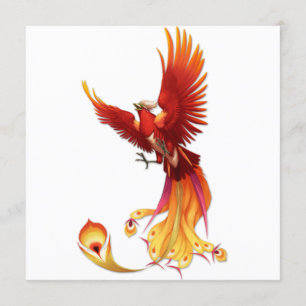 Der Sun Phoenix Einladung