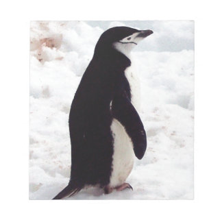 Der süßeste Pinguin überhaupt Notizblock