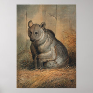 Der syrische Bär von Joseph Wolf Poster