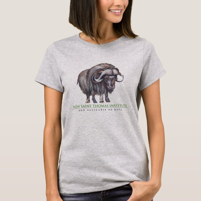 Der T - Shirt der neuen Heiliger (Vorderseite)