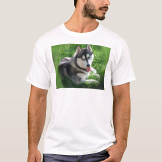 Der T - Shirt der sibirischer