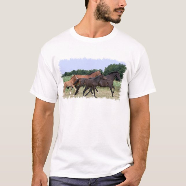 Der T - Shirt der wilde Pferdemänner (Vorderseite)
