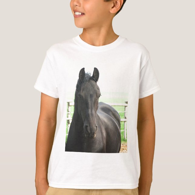 Der T - Shirt des friesisches Pferdekindes (Vorderseite)