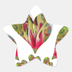 Der Tag der humanitären Hilfe ist ein schöner Tag  Stern-Aufkleber